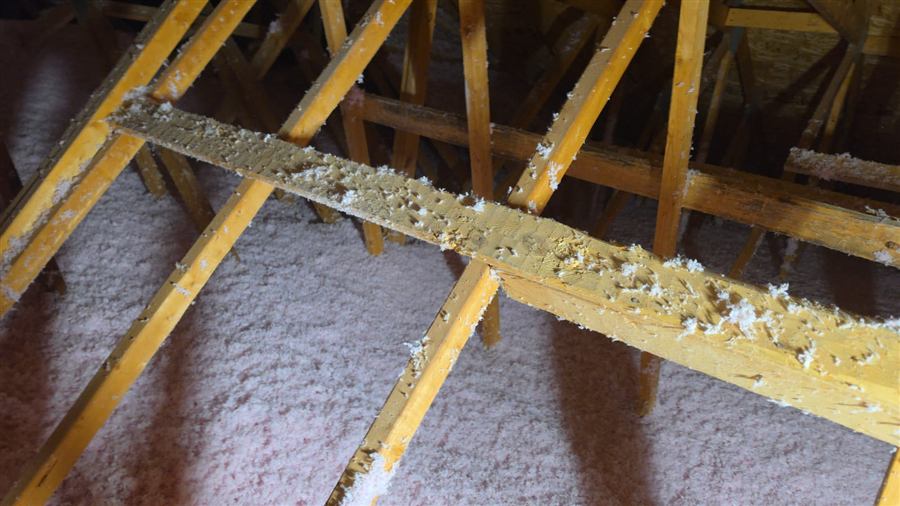 After Mississauga Attic Insulation Upgrade